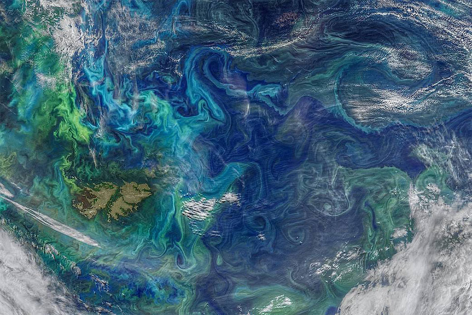 Satellite view of swirling phytoplankton blooms tracing rotating ocean eddies
