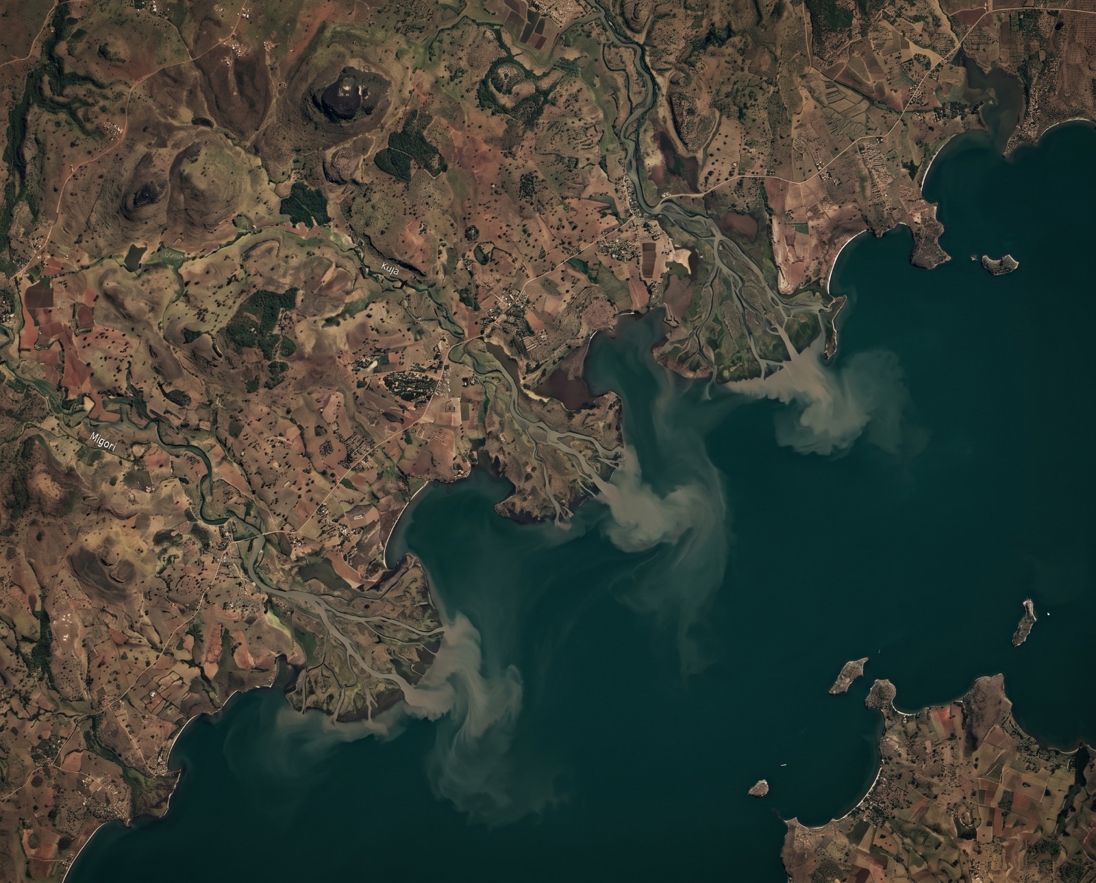 Aerial view of the south basin of Lake Victoria — shoreline wetlands and sediment plumes meeting open water